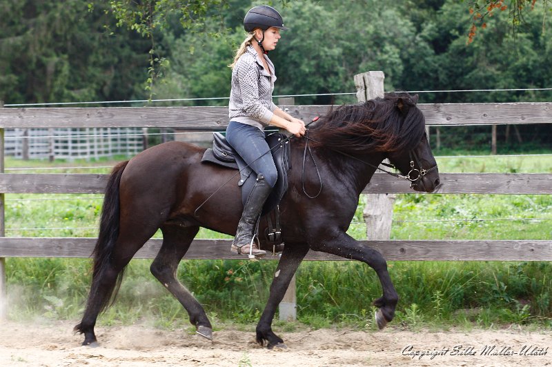 _MG_0107.jpg - Noah von Heidmoor - das erste Mal in der Reitbahn, nachdem Katharina 4 Mal draufgesessen hat.