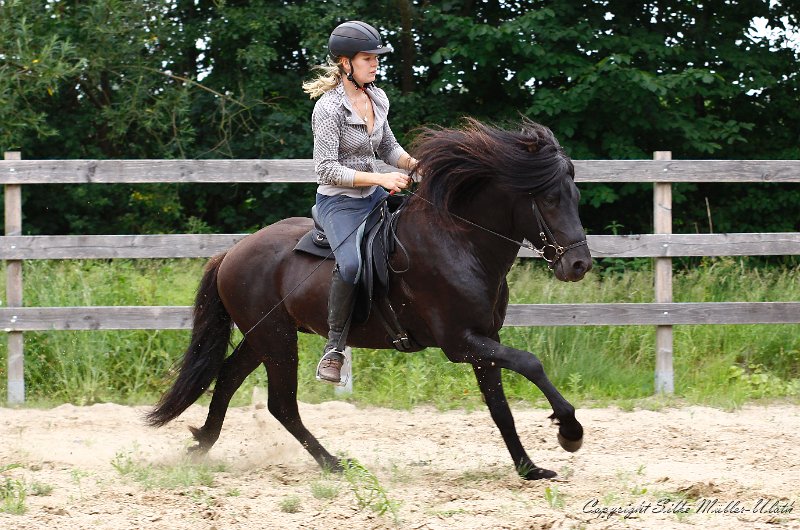 _MG_0133.jpg - Noah von Heidmoor - das erste Mal in der Reitbahn, nachdem Katharina 4 Mal draufgesessen hat.