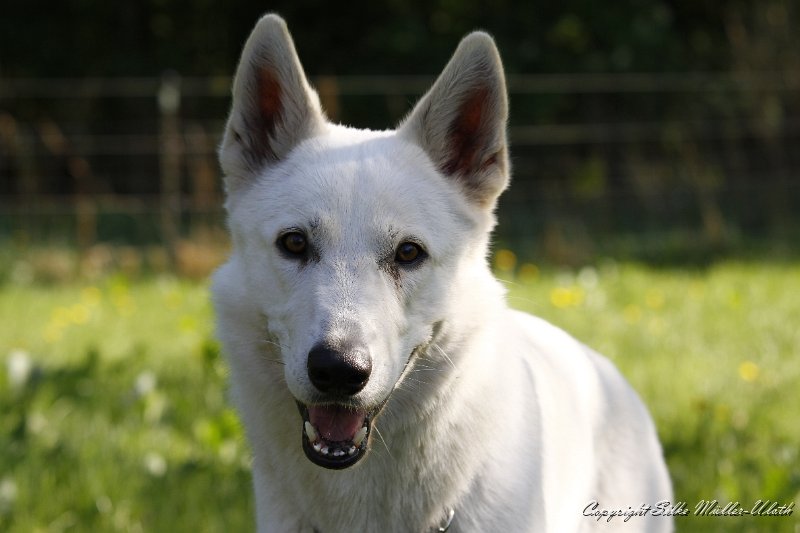 _MG_1348.JPG - Karlos