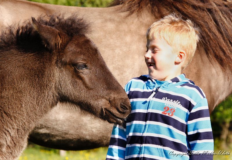 _MG_3100a.jpg - Hrafn von Heidmoor + Thorge - die beiden haben zusammen offensichtlich viel Spass
