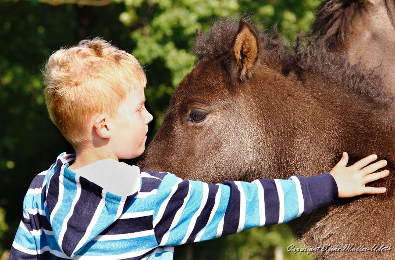_MG_3108a.jpg - Hrafn von Heidmoor + Thorge