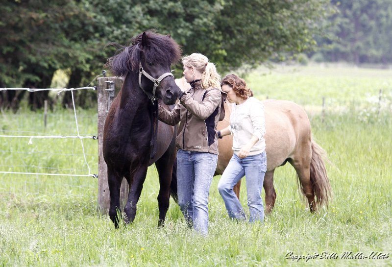 _MG_3754.JPG - Ende Mai - Alvars Decksaison beginnt