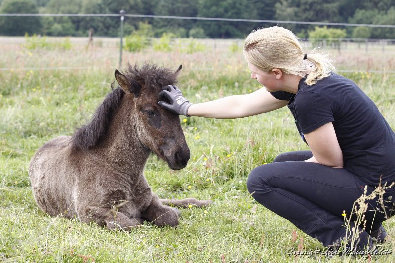 _MG_7621.JPG - Hrafn von Heidmoor + Ninja