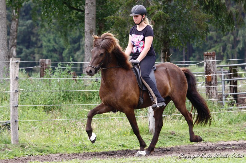 _MG_9687.jpg - Elding von Heidmoor - eine Verja fra Strandarhoefdi Tochter