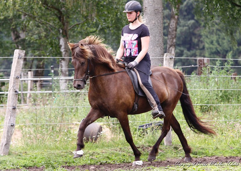 _MG_9745.jpg - Elding von Heidmoor - eine Verja fra Strandarhoefdi Tochter