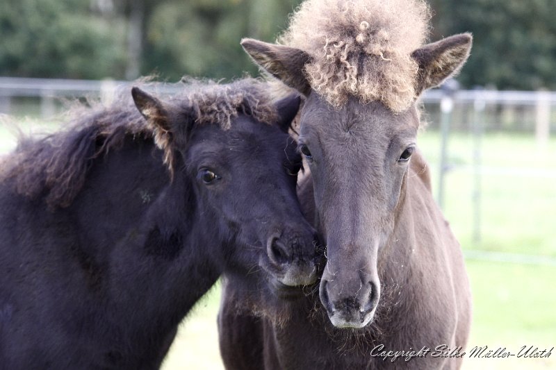 _MG_0244.JPG - Newton und Elin