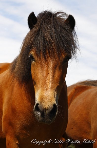 _MG_0582.JPG - Gina von Heidmoor