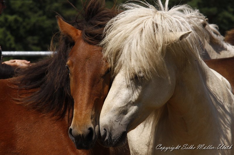 _MG_0598.JPG - Hetja und Sola