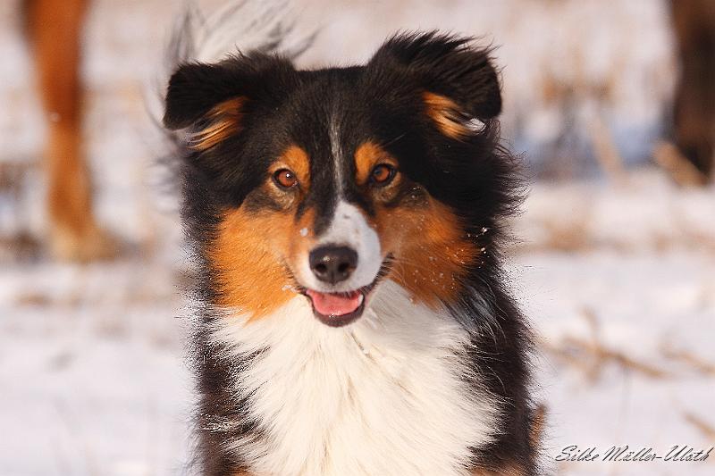 _MG_2117.JPG - Skima