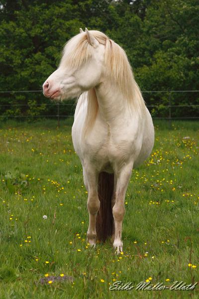 _MG_2947.JPG - Enya beobachtet Alvar auch interessiert