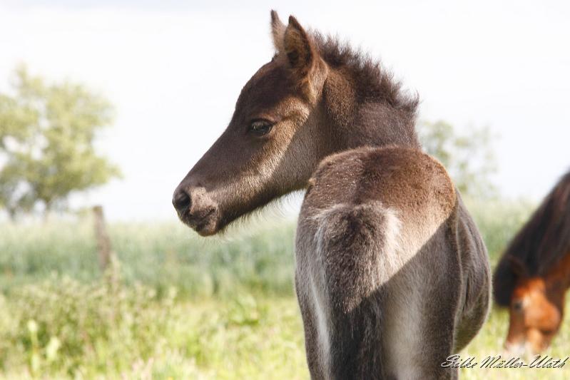 _MG_3202.JPG - Otur wenige Tage alt