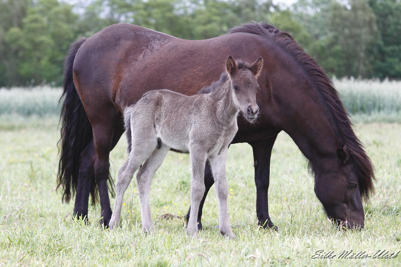 _MG_3322.JPG - Otur und Mama Orka