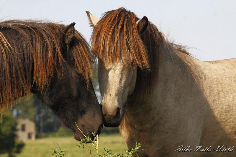 _MG_1423.JPG - Na, wer bist denn Du?