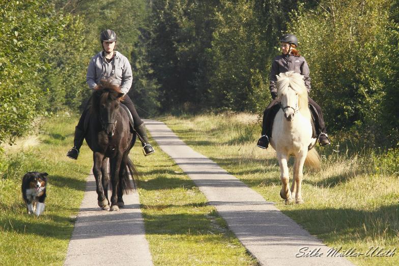 _MG_3968.JPG - Ninja und Sabine geniessen die Herbstsonne.