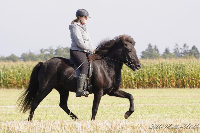 _MG_4303.JPG - Ninja und Venus von Heidmoor - eine Gumi fra Strandarhoefdi Tochter