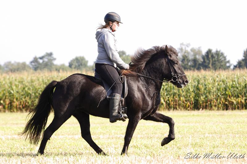 _MG_4329.JPG - Ninja und Venus von Heidmoor - eine Gumi fra Strandarhoefdi Tochter