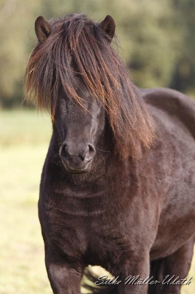 _MG_4431.JPG - Njola von Heidmoor