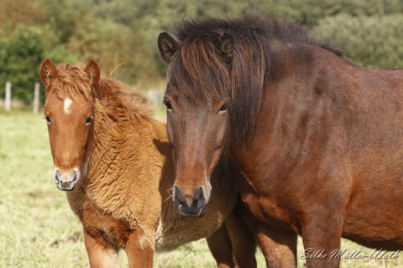 _MG_4438.JPG - Mutter und Tochter
