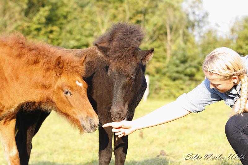 _MG_0394.JPG - Hroenn, Djakna und Josi - ein Plausch unter Mädchen