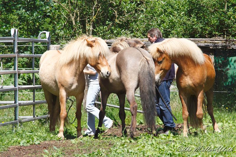 _MG_5478.JPG - Stormson, Kolgrimur und Gliri