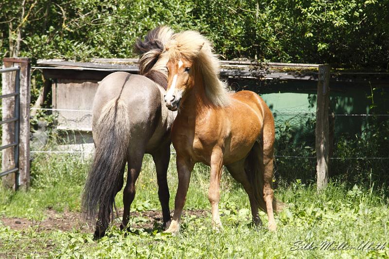 _MG_5480.JPG - Action!