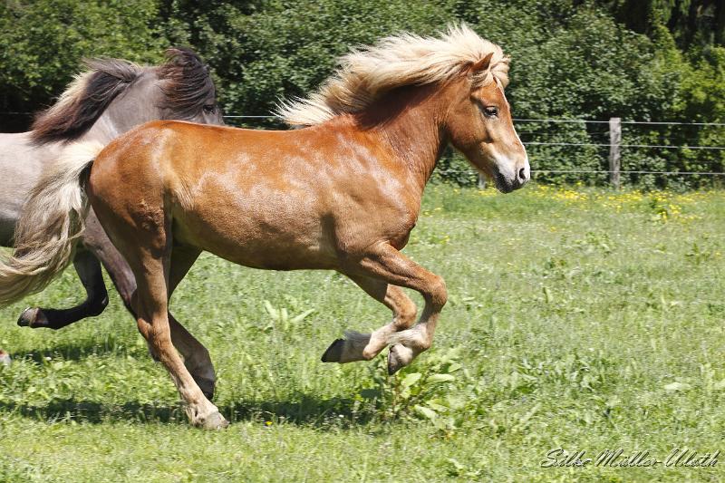 _MG_5484.JPG - Gliri - los gehts!