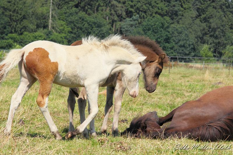 _MG_5893.JPG - Was machst du da?