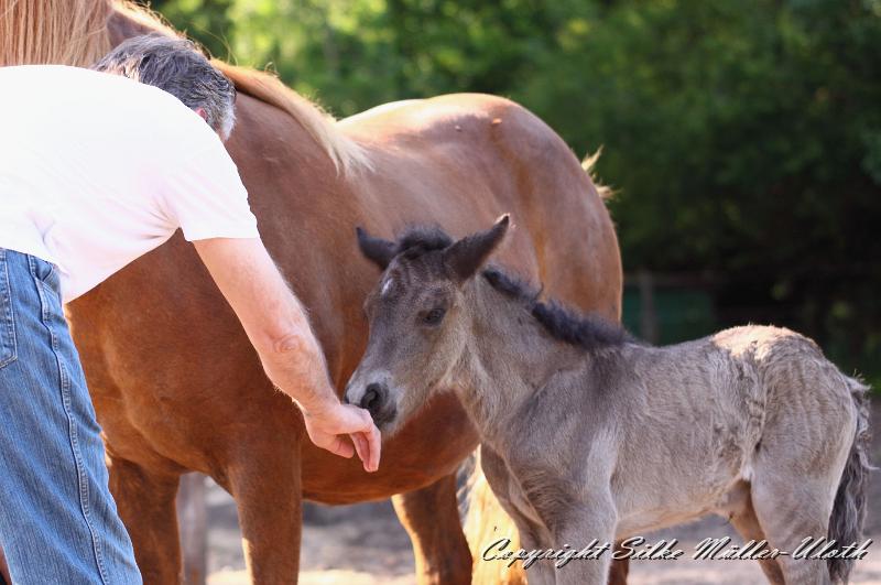 _MG_4635a.jpg - Neo von Heidmoor 1 Tag alt