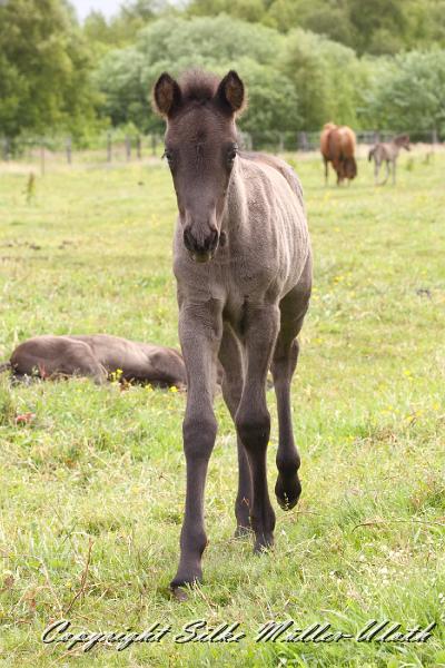 _MG_5728.JPG - Hrunds Tochter ist jetzt 2 Wochen alt
