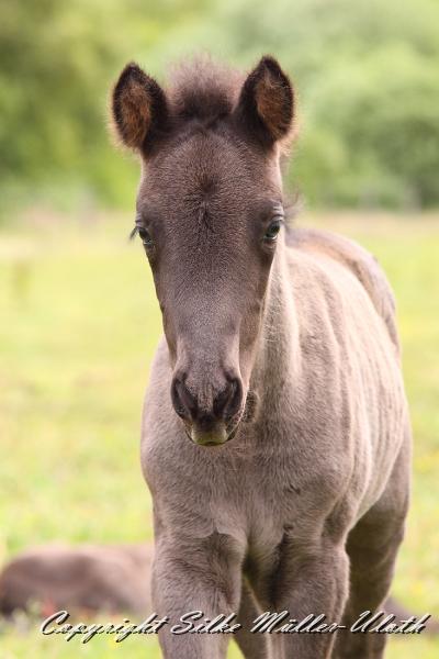 _MG_5729.JPG - Hrunds Tochter ist jetzt 2 Wochen alt