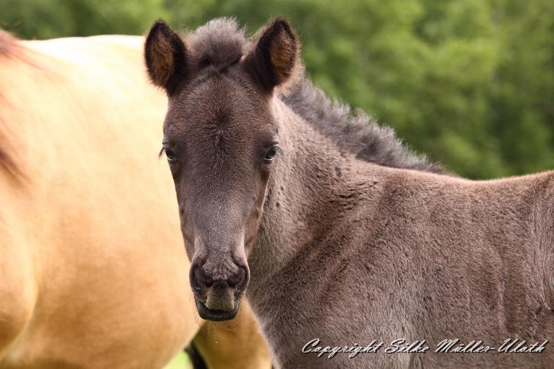 _MG_5738.JPG - Hrunds Tochter ist jetzt 2 Wochen alt