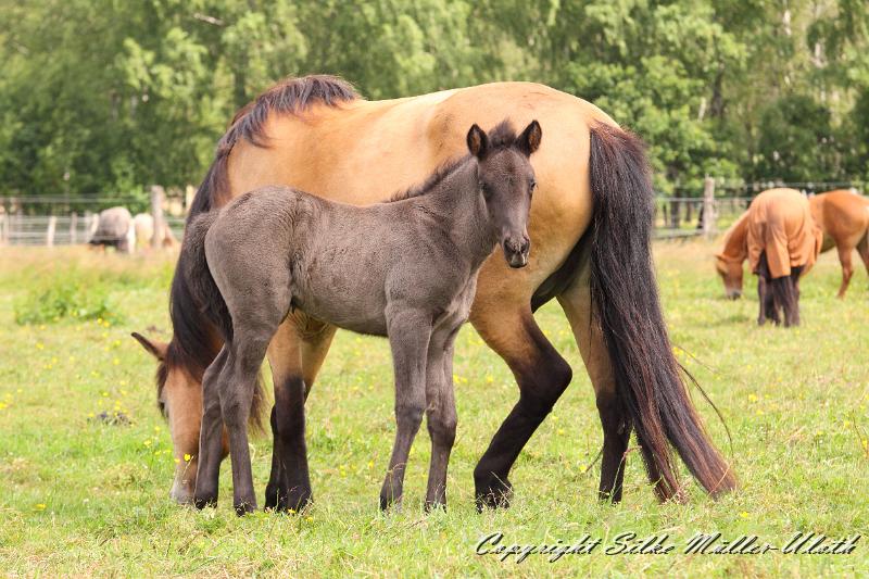 _MG_5750.JPG - Hrunds Tochter ist jetzt 2 Wochen alt