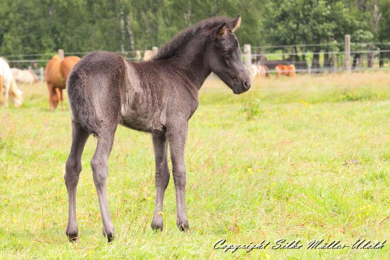_MG_5771.JPG - Hrunds Tochter ist jetzt 2 Wochen alt
