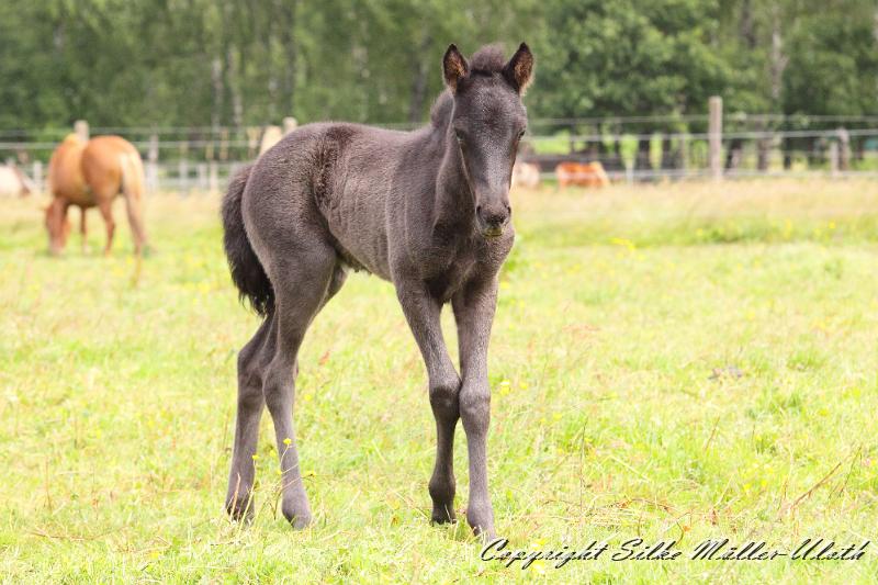 _MG_5774.JPG - Hrunds Tochter ist jetzt 2 Wochen alt