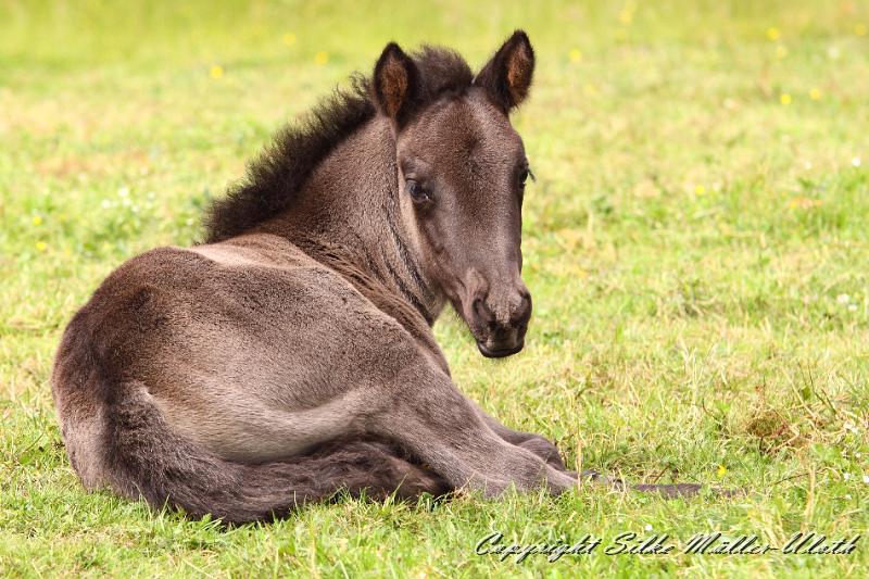 _MG_5789.JPG - Hrunds Tochter ist jetzt 2 Wochen alt