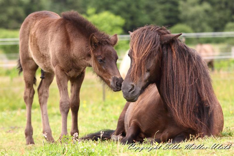 _MG_5983.JPG - Orson von Heidmoor