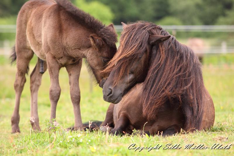 _MG_5989.JPG - Orson von Heidmoor