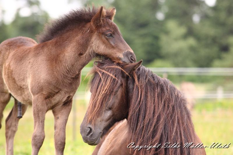 _MG_5999.JPG - Orson von Heidmoor