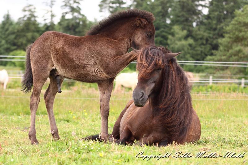 _MG_6001.JPG - Orson von Heidmoor