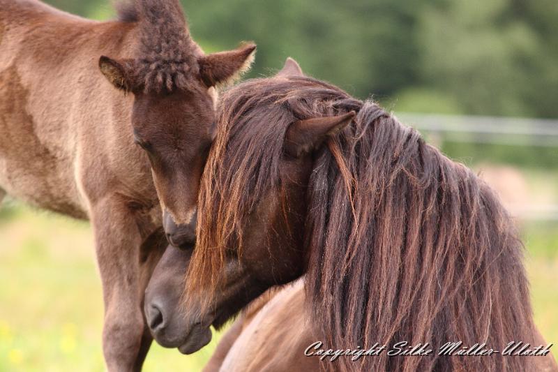 _MG_6006.JPG - Orson von Heidmoor