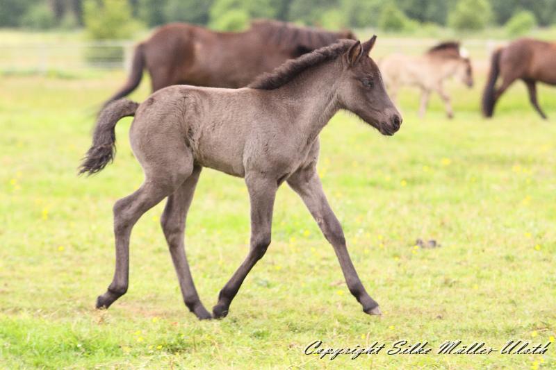 _MG_6036.JPG - Hrunds Tochter ist jetzt 2 Wochen alt
