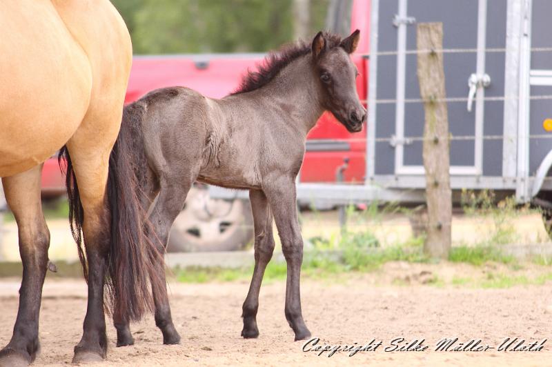 _MG_6102.JPG - Hrunds Tochter ist jetzt 2 Wochen alt