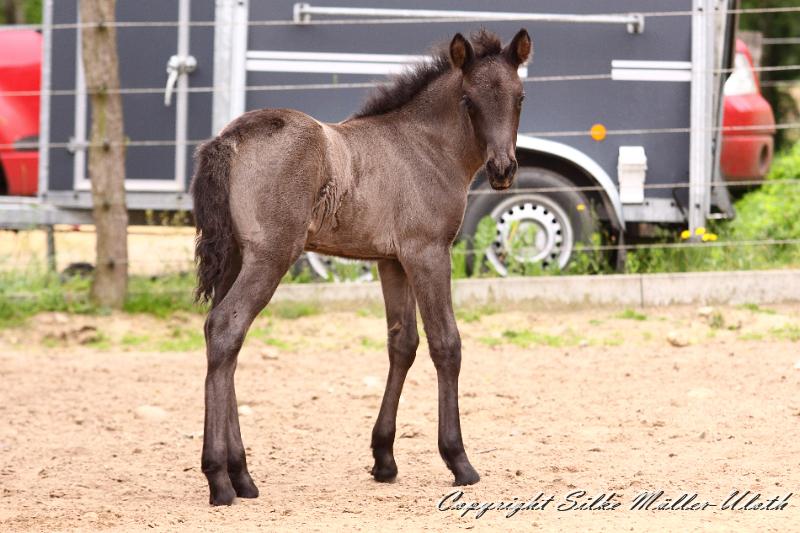 _MG_6107.JPG - Hrunds Tochter ist jetzt 2 Wochen alt