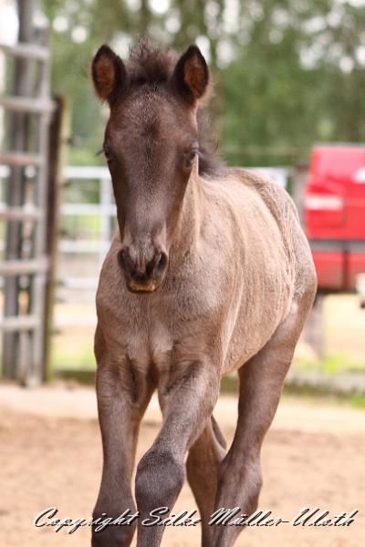 _MG_6110.JPG - Hrunds Tochter ist jetzt 2 Wochen alt