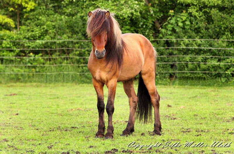 _MG_1597a.jpg - Oskar fra Aertebjerg