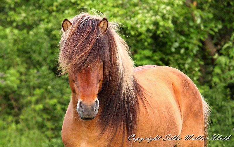 _MG_1597a2.jpg - Oskar fra Aertebjerg