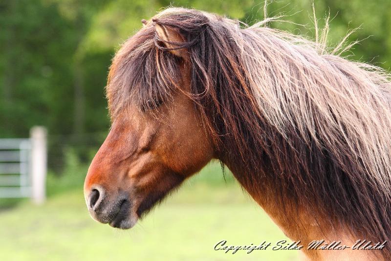 _MG_1606a.jpg - Oskar fra Aertebjerg
