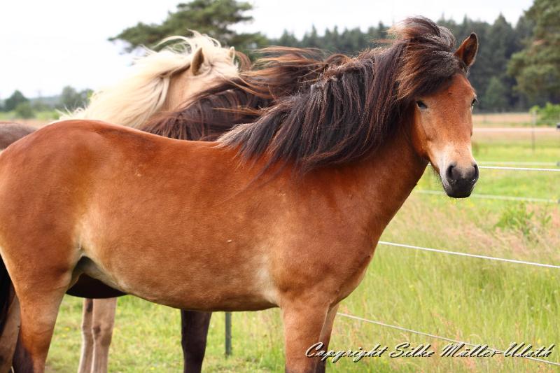 _MG_5906.JPG - Gina von Heidmoor