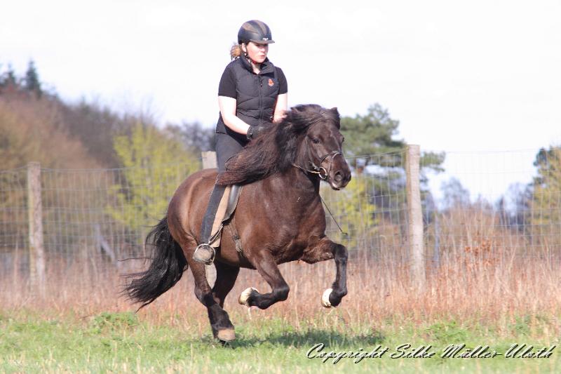 _MG_8109.JPG - Ninja und Ninja nutzen die ersten Sonnenstrahlen fuer einen Ausritt.