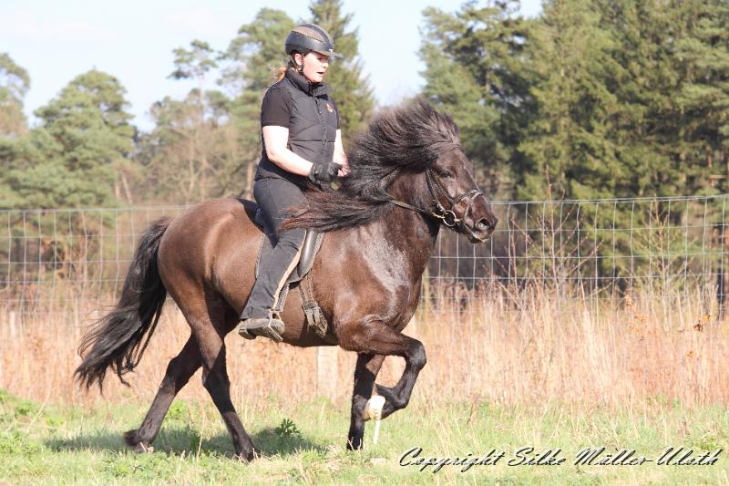 _MG_8141.JPG - Ninja und Ninja nutzen die ersten Sonnenstrahlen fuer einen Ausritt.